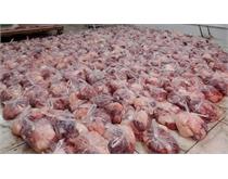 توزیع ۱۰۵۰ بسته گوشت قربانی بین خانواده‌های ایتام در ۷ استان محروم کشور