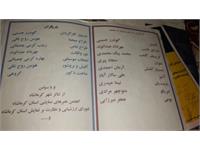 نیما کارگردان بوتراب 2