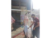 توزیع گوشت قربانی همزمان با زادروز بنیانگذار 15