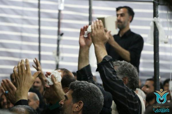 خیریه عترت بوتراب، خادم زائرین حسینی 31