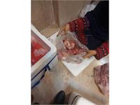 توزیع گوشت قربانی همزمان با زادروز بنیانگذار 10