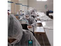 ماسک نرگس 10