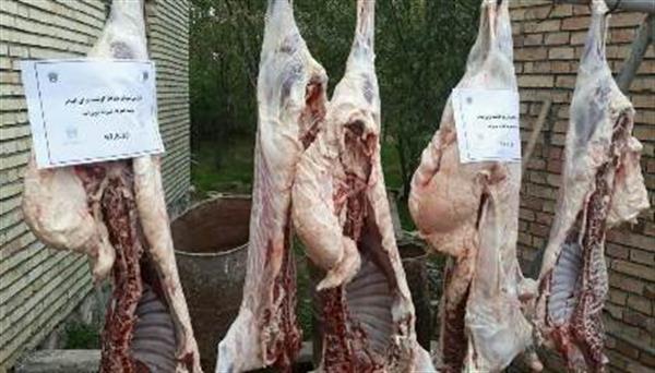 توزیع گوشت قربانی بین ۹۸ خانواده تحت‌حمایت بوتراب