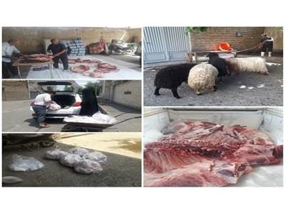 نذر قربانی ۵ رأس گوسفند و ۱ رأس گاو، همزمان با عید قربان در استان آذربایجان غربی