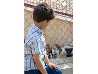 تولد کرمانشاه 12