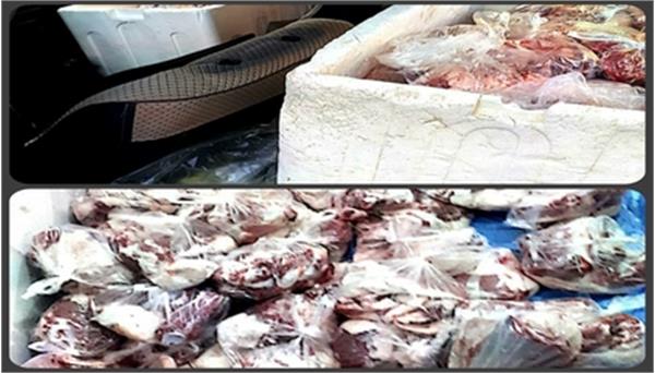 توزیع گوشت قربانی به خانواده‌های بوتراب در استان کهگیلویه‌وبویراحمد