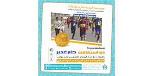 پوستر جشنواره شور غدیر، مسابقه دو استقامت