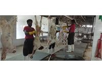 توزیع گوشت قربانی همزمان با زادروز بنیانگذار 8