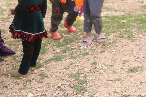 توزیع سبد کالای نوروز 96 14