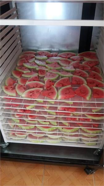 کارگاه میوه خشک کنی در استان آذربایجان غربی 8