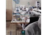 ماسک نرگس 17