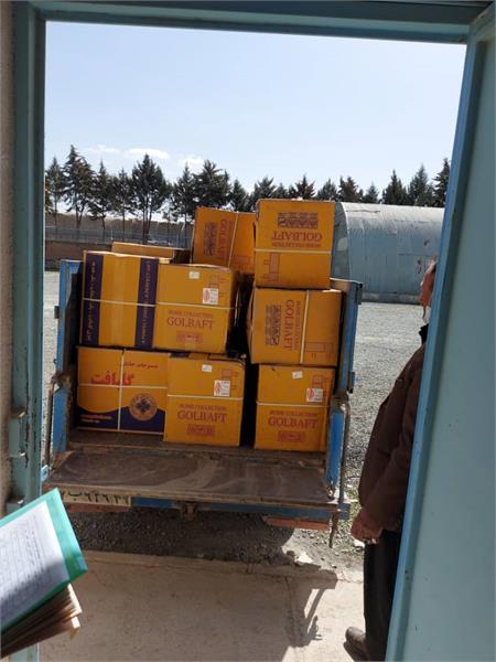 عیدانه 1401 10