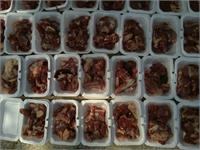 گوسفند هرمزگان 2