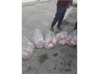 توزیع گوشت قربانی همزمان با زادروز بنیانگذار 11