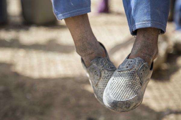 سفر به دیار فراموش شدگان 18