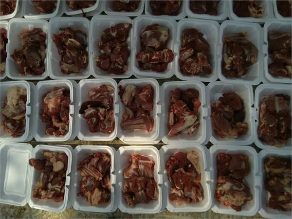 گوسفند هرمزگان 2