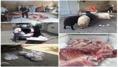 نذر قربانی ۵ رأس گوسفند و ۱ رأس گاو، همزمان با عید قربان در استان آذربایجان غربی