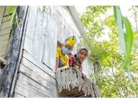 تولد کرمانشاه 6