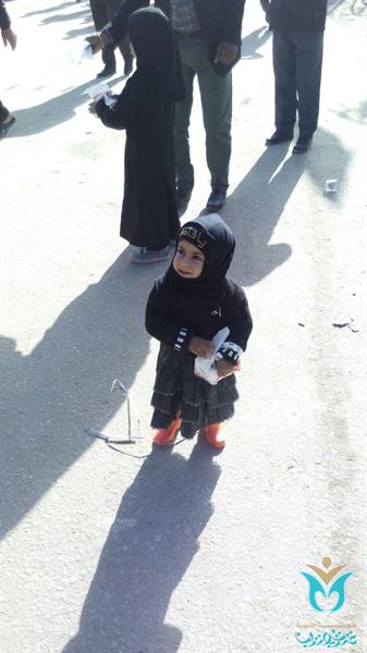 خیریه عترت بوتراب، خادم زائرین حسینی 5