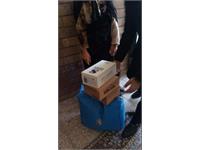 توزیع سبد کالا۹۹