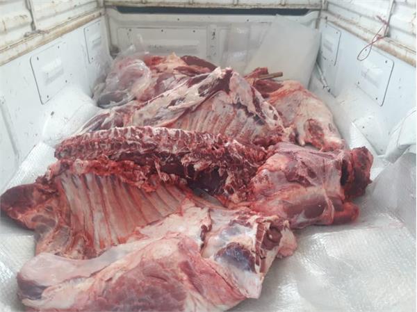 ذبح ۵ رأس گوسفند و ۱ رأس گاو در استان آذربایجان غربی در عید قربان استان