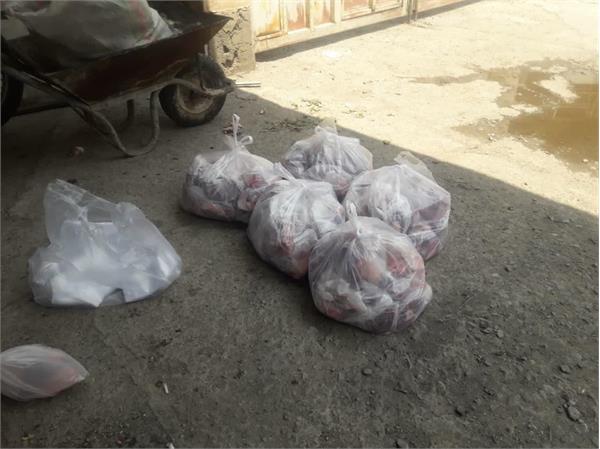 ذبح ۵ رأس گوسفند و ۱ رأس گاو در استان آذربایجان غربی در عید قربان