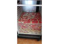 کارگاه میوه خشک کنی در استان آذربایجان غربی 8