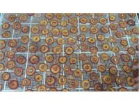 کارگاه میوه خشک کنی در استان آذربایجان غربی 12