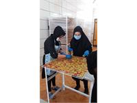 کارگاه میوه خشک کنی در استان آذربایجان غربی 9