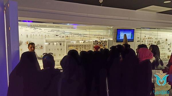 اردوی دختران مشهد اولی‌ کهگیلویه 5