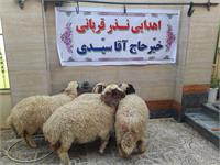ذبح و توزیع 4 راس گوسفند قربانی ایلام