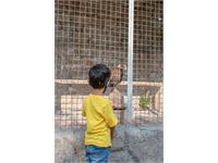 تولد کرمانشاه 9