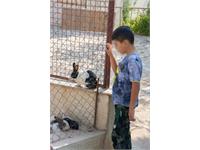 تولد کرمانشاه 10