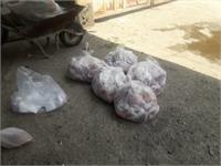 ذبح ۵ رأس گوسفند و ۱ رأس گاو در استان آذربایجان غربی در عید قربان