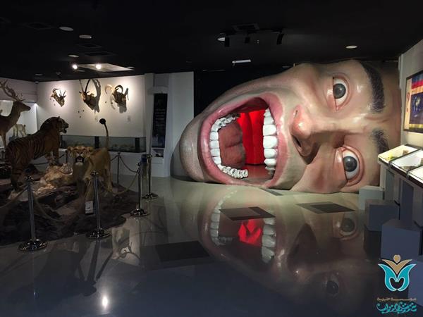 اردوی دختران مشهد اولی‌ کهگیلویه 16