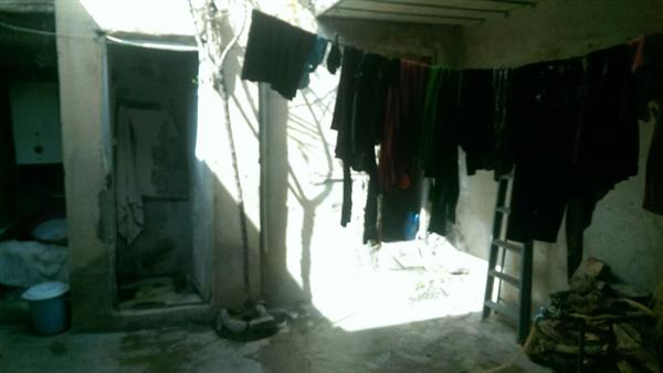 توزیع سبد کالای عید 96 8