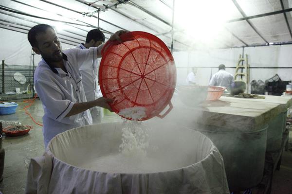 روز پنجم اربعین 9