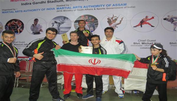 حامد، قهرمان مسابقات هنرهای رزمی