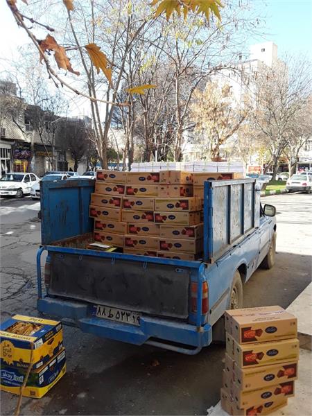 تقسیم لبخند به بهانه یلدا/ استان کرمانشاه 3