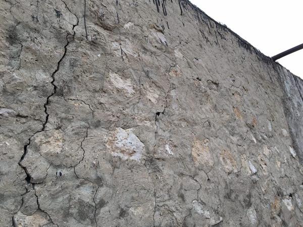 سفر به دیار فراموش شدگان 43