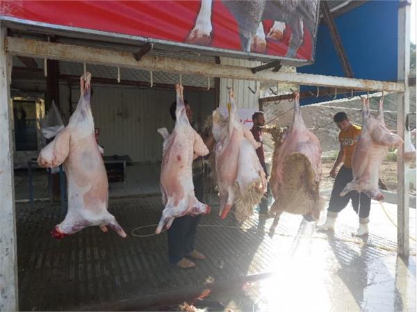 توزیع گوشت قربانی همزمان با زادروز بنیانگذار 16