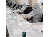 ماسک نرگس 13