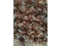 گوسفند هرمزگان 3