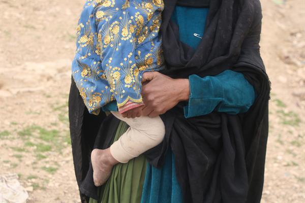 توزیع سبد کالای نوروز 96 15