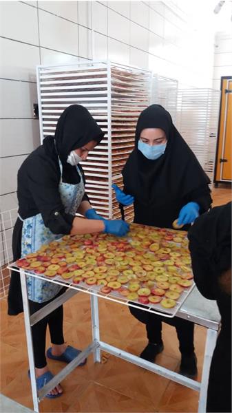کارگاه میوه خشک کنی در استان آذربایجان غربی 9