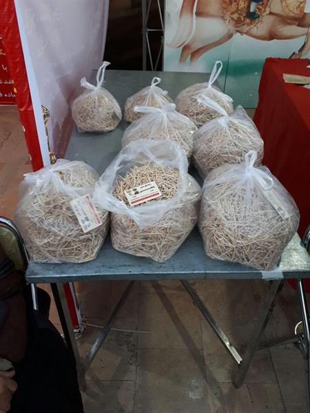 نمایشگاه خوی 25