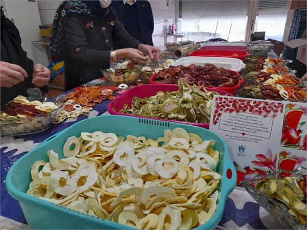 میوه خشک کنی 5