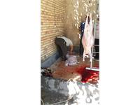 گوشت قربانی آغ 3