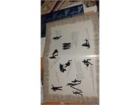 نیما کارگردان بوتراب 13