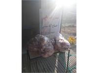 توزیع گوشت قربانی همزمان با زادروز بنیانگذار 6